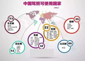 厲害了word中國駕照 約上好友，開啟全球自駕之旅！